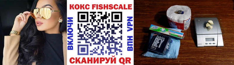 закладки Ворсма COCAIN Fish Scale
