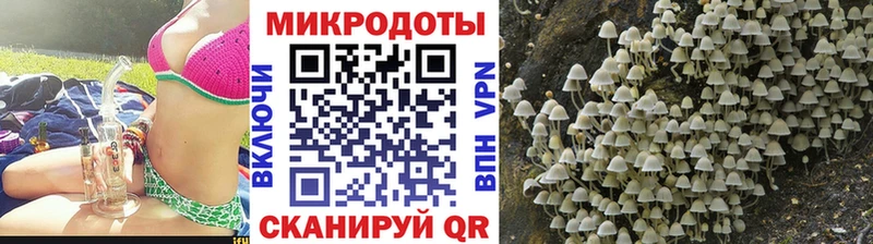 Галлюциногенные грибы мицелий магазин Ворсма